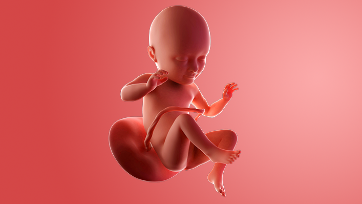 cephalic presentation at 32 weeks images