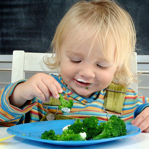 Toddler Start for Life