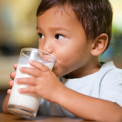 Toddler Start for Life