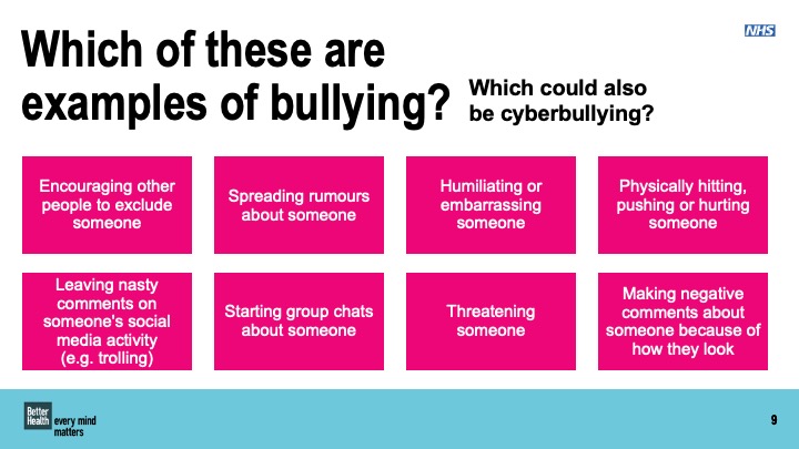 Bullying and cyberbullying KS3 and KS4 lesson plan pack 