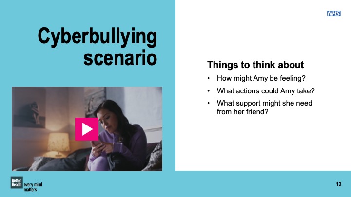 Bullying and cyberbullying KS3 and KS4 lesson plan pack 