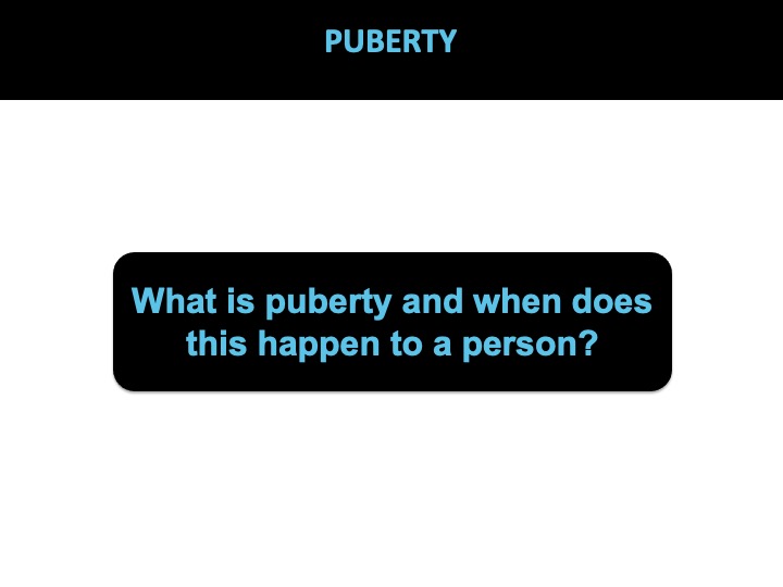Puberty lesson plan